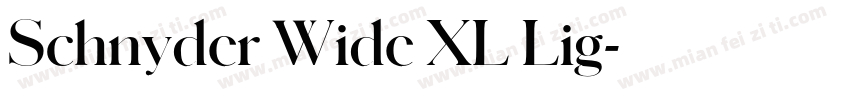 Schnyder Wide XL Lig字体转换